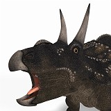 Diceratops DAZ 07A_0001